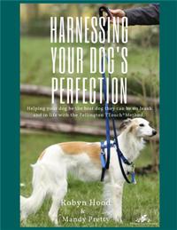 Harnessing Your Dog’s Perfection